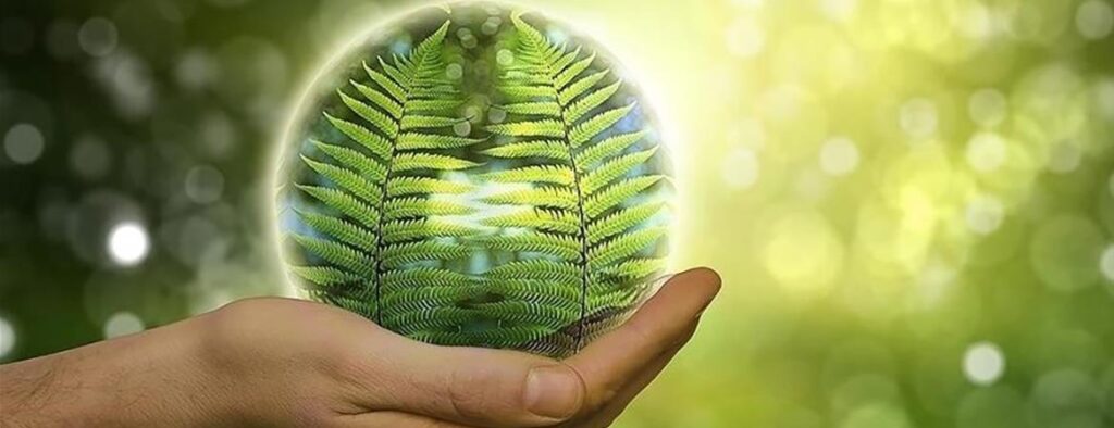 Hidrojenden Elektrik Üretebilen Enzim Bulundu