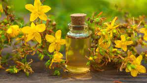 BATEM: ”Sarı kantaron türleri ekonomiye kazandırılacak”