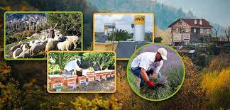 Orman köylüsüne yakacak odun ve ağaç tahsisatı müjdesi