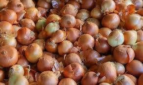 Kuru soğan ihracatına sınırlı izin. Miktar ve tarih belli oldu