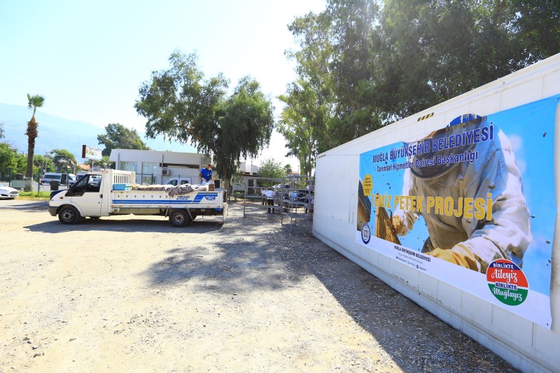 Türkiye’de İlk ve Tek “Temiz Petek Projesi” Arıcılara Destek Oluyor