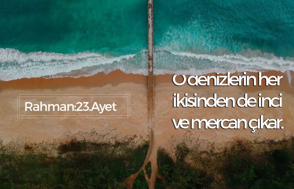 Kur’an’da adı geçiyordu. Yeni keşfedildi