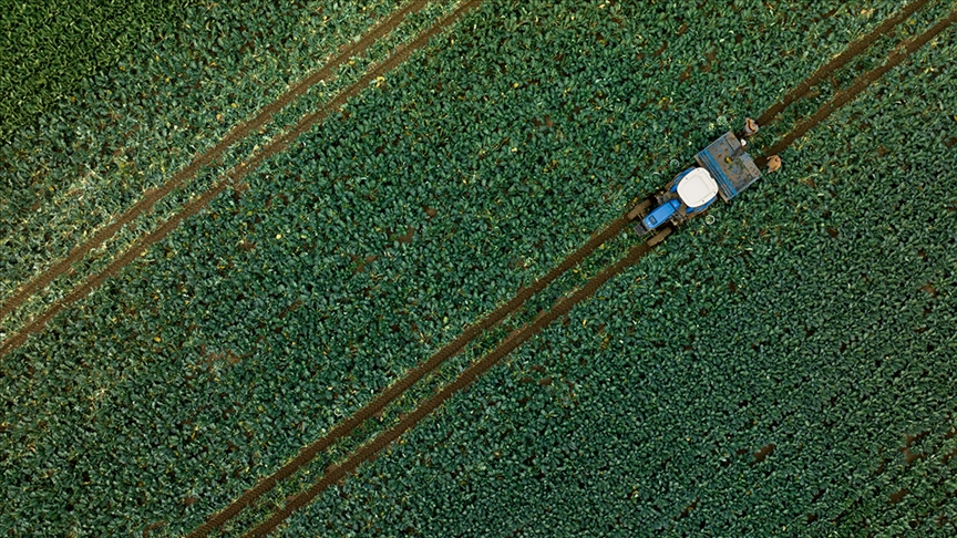 Tarım Ürünlerini Yüzde 50 Zamlı Kullandık