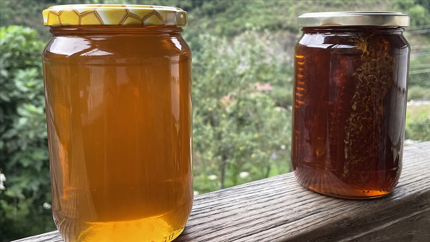 Türkiye 2023’te bal ihracatından yaklaşık 32 milyon dolar kazandı
