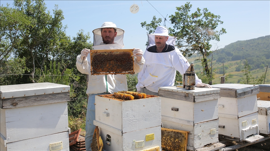 Babasının “tek oğul”la başladığı arıcılıkta devlet desteğiyle 200 kovana ulaştı