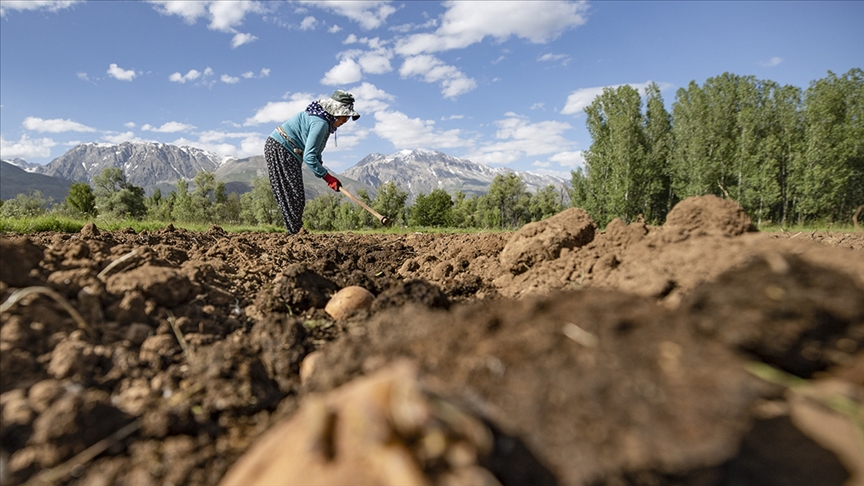 Tarım sektöründen ihracatta ilk yarı rekoru
