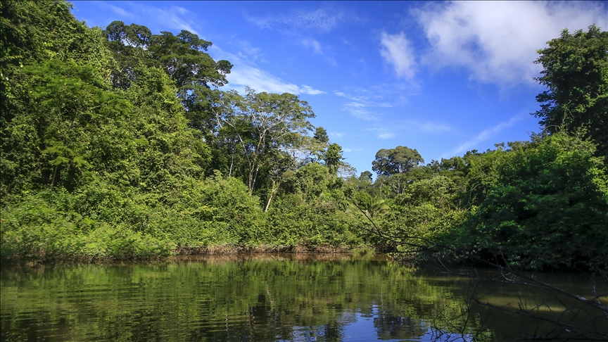 Peru’da yapılan araştırmada 27 yeni hayvan türü keşfedildi