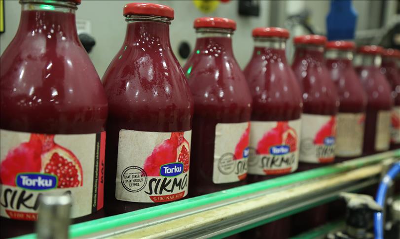 Torku, tünel pastörizasyon teknolojisiyle öne çıkıyor