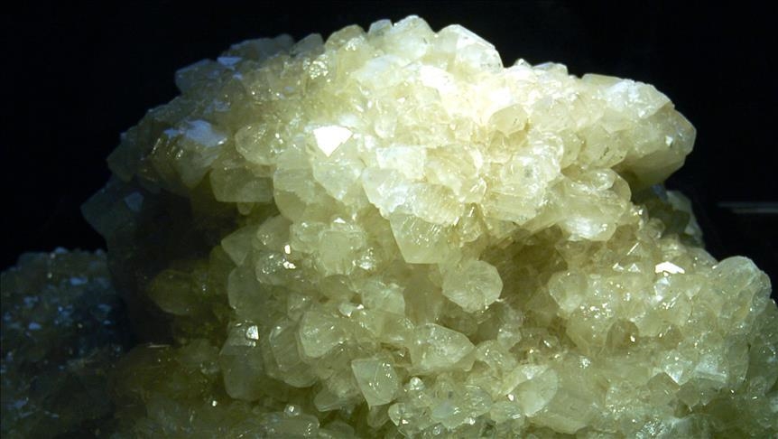 Borda 2024’te 1,3 milyar dolarlık satış rekoru kırıldı