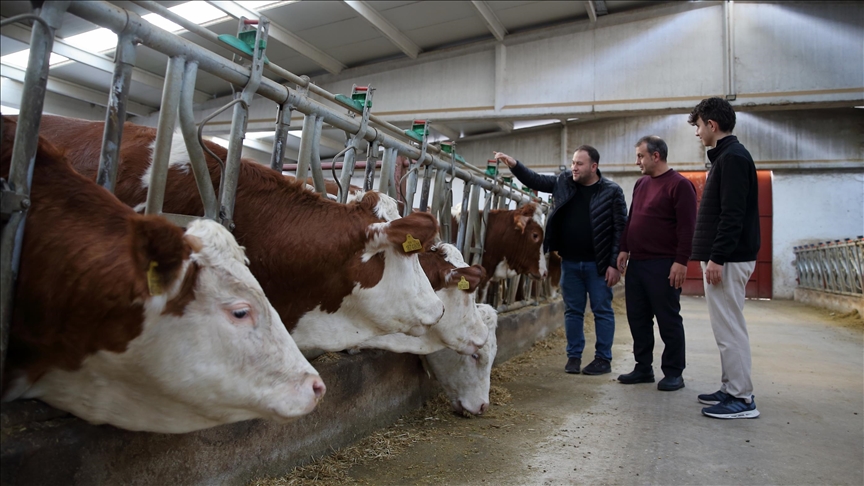 Çorum’da maaşlı çalışan iki kardeş TKDK desteğiyle çiftlik kurdu