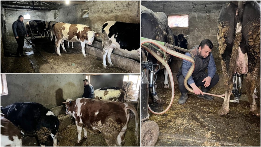 Devlet desteğiyle kurduğu çiftlikte ayda 45 ton süt üretiyor