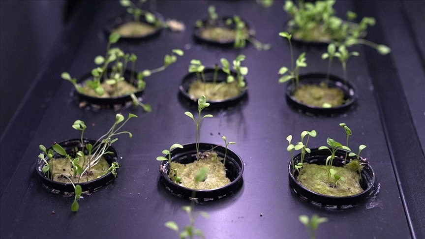 Hayalindeki topraksız tarım makinelerini üreten girişimcinin hedefi ihracat