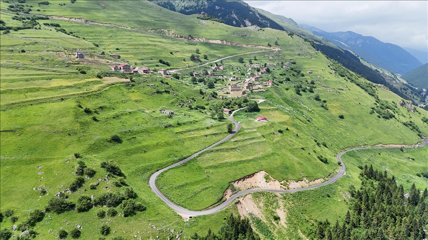 Taşköprü Yaylası Cazibe Merkezi Oldu