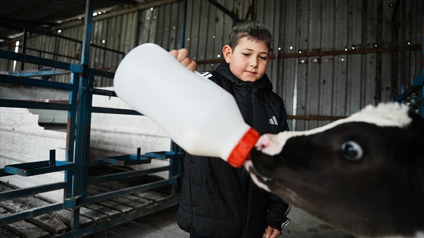 Çanakkale’de veteriner hekim yapay zeka destekli süt çiftliği kurdu
