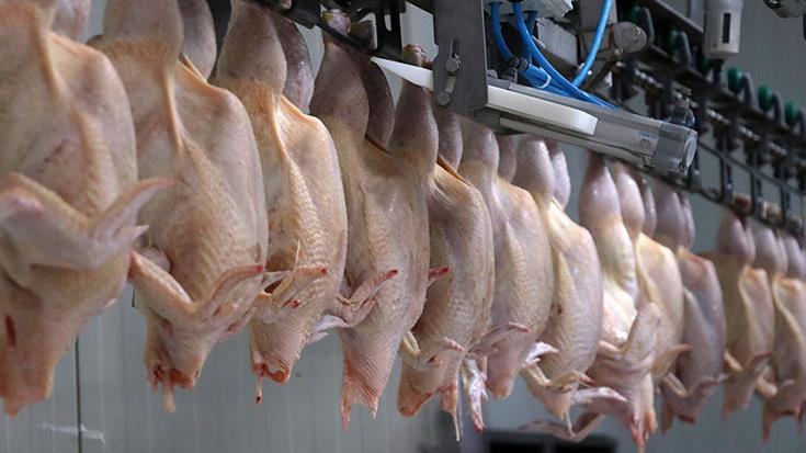 Ticaret Bakanlığı kanatlı eti ihracatının durdurulduğunu açıkladı